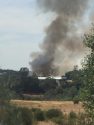 Mono Fire in Sonora