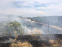 Mono Fire in Sonora