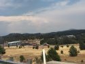 Mono Fire in Sonora