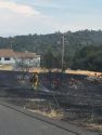 Mono Fire in Sonora