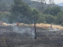 Mono Fire in Sonora