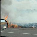 Mono Fire in Sonora