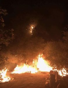 Stockton Road Fire