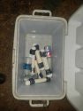 Pipes found in cooler
