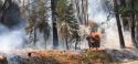 Railroad Fire near Yosemite