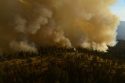 South Fork Fire