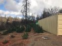 CCSO MET illegal grow eradication photo Sept 21 2017