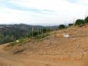CCSO Sept 11 2017 Eradication Sites Evidence Photo