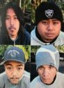 Four arrested in Railroad Flat drug raid
