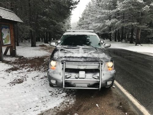 Snow along Ebbetts Pass HWY 4