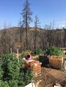 Nikki Trail Site of Eradication Sept 15 2017