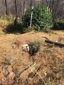 Nikki Trail Site of Eradication Sept 15 2017