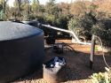 Marijuana grow eradicated - Rim Rock Valley Rd, Mountain Ranch