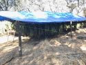Calaveras County Cannabis Eradication Operation Oct. 4-5 2017