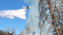 Firefighting Activity