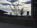 View from Tuolumne Transit Center