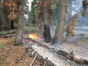 Creek Fire