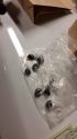 Drugs found during search