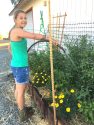 Volunteer Amelia Hendersen helping water Chinese Camp El school garden over the summer