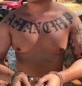 Calaveras County Pot Bust