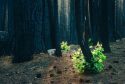Photo by the National Audubon Society and the John Muir Project