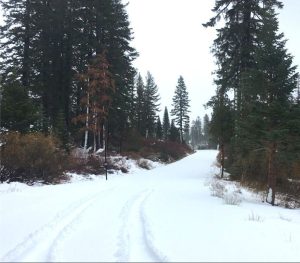 Hwy 108 Sonora Pass Nov 20 2017 Caltrans Photo