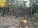 Independence Cemetery Road Grow Eradication Oct 31 2017