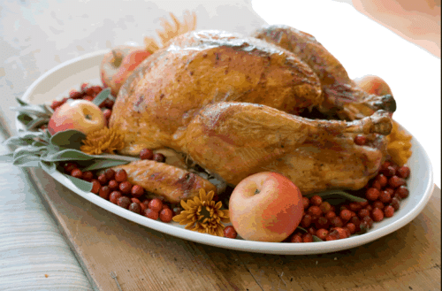 Thanksgiving Dinner