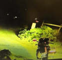 Arrest scene of Joel Thomas Perkins