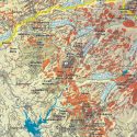 Cal Fire Tree Mortality Map