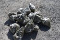 Valley Springs pot bust