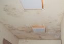 Valley Springs pot bust black mold
