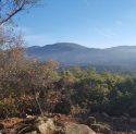 Dragoon Gulch Trail vista
