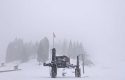 Snow at Dodge Ridge