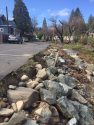 Flood Damage In Downtown Groveland