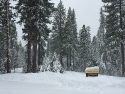 Stanislaus National Forest