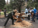 Yosemite Wilderness Rangers demonstrate the use of traditional saws and other tools.