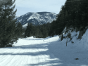 Hwy 108 beyond the Eagle Meadow closure gate April 2018