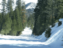 Hwy 108 beyond the Eagle Meadow closure gate April 2018