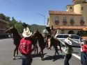 Coyote Sam In Sonora