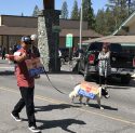 2018 Twain Harte Dog Parade