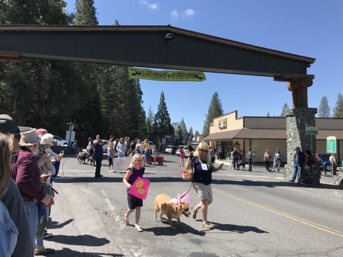2018 Twain Harte Dog Parade