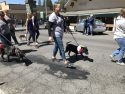 2018 Twain Harte Dog Parade