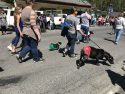 2018 Twain Harte Dog Parade