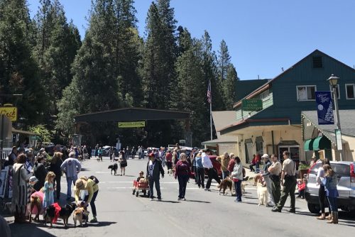 2018 Twain Harte Dog Parade