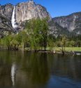 Yosemite National Park