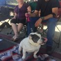 61st annual Mother Lode Round-Up Parade