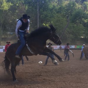 Hitting The Saddle To Take Home The Prize