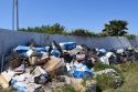 Burson Criminal Marijuana Grow Bust May 3 2018