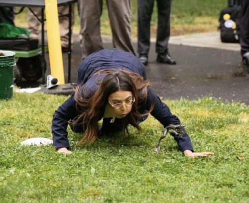 Capitol Frog Jump